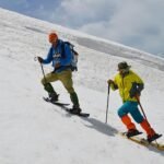 Trek Trend News