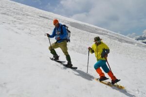 Trek Trend News